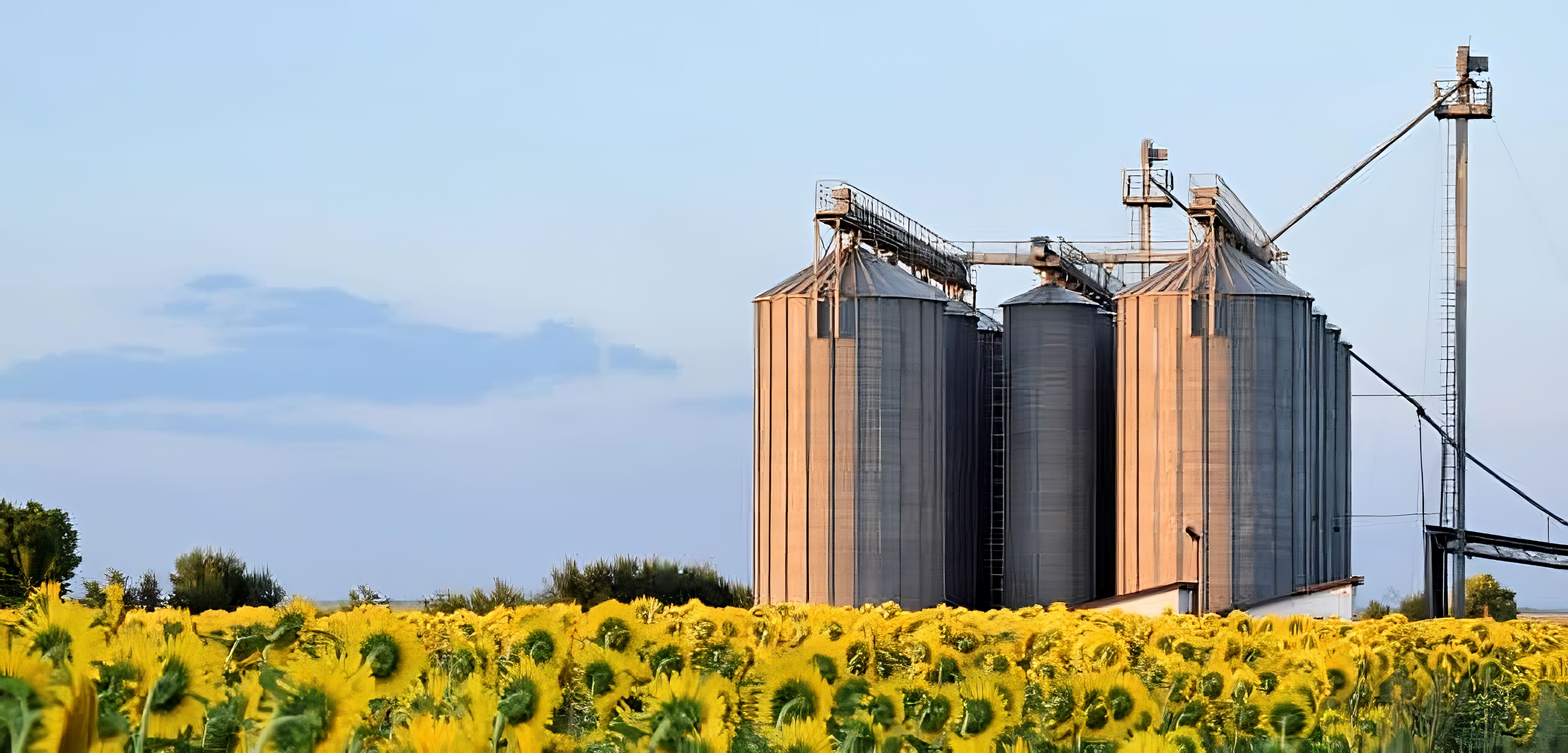 Agroindustria